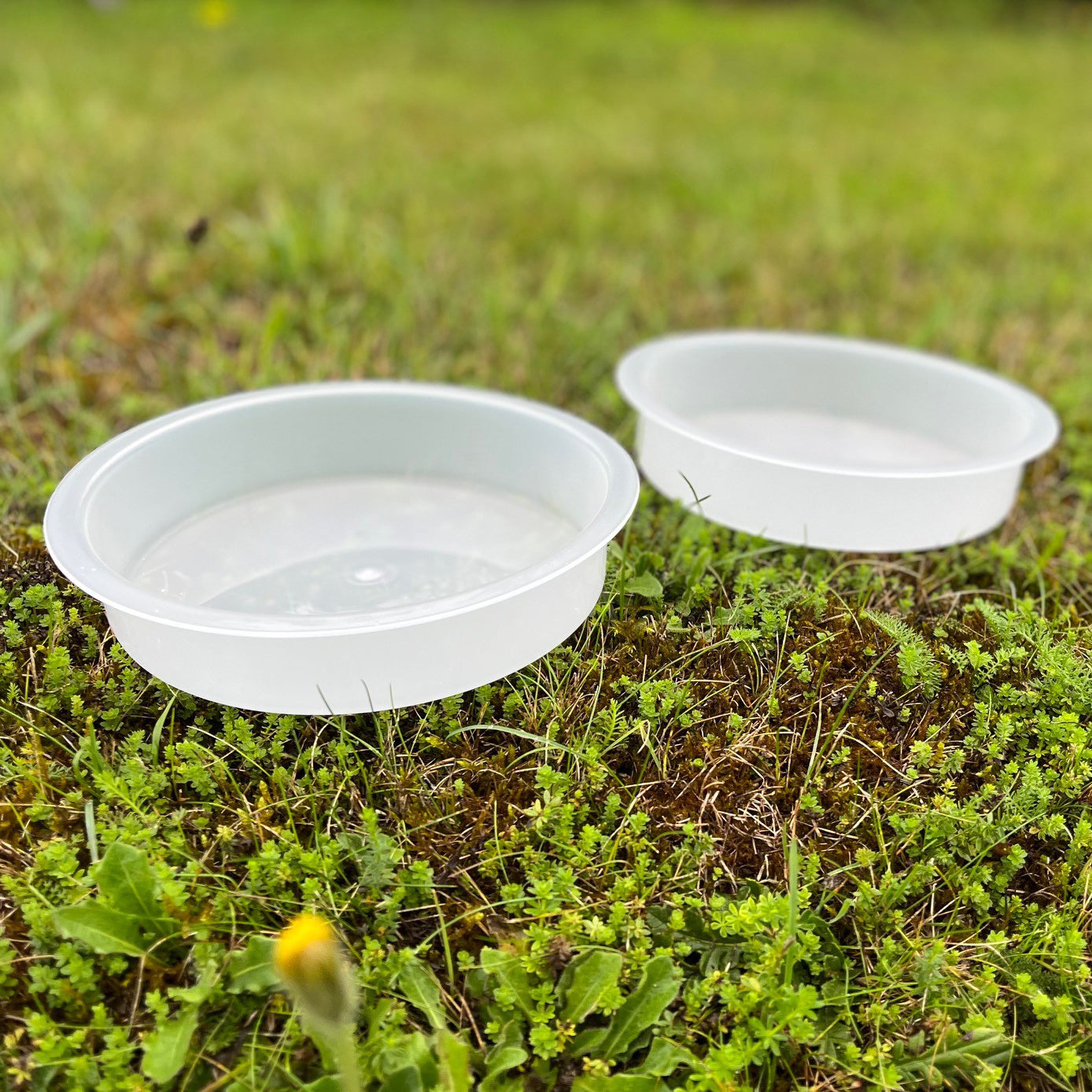 Bird Bath Water Dish for Bird Feeding Stations (Set of 2)