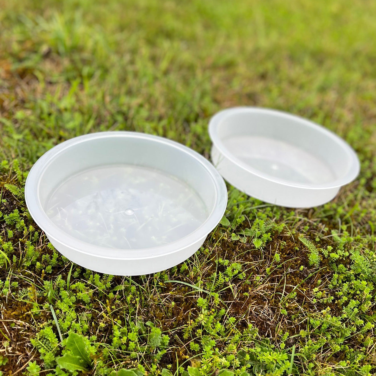 Bird Bath Water Dish for Metal Bird Feeding Stations (Set of 5)