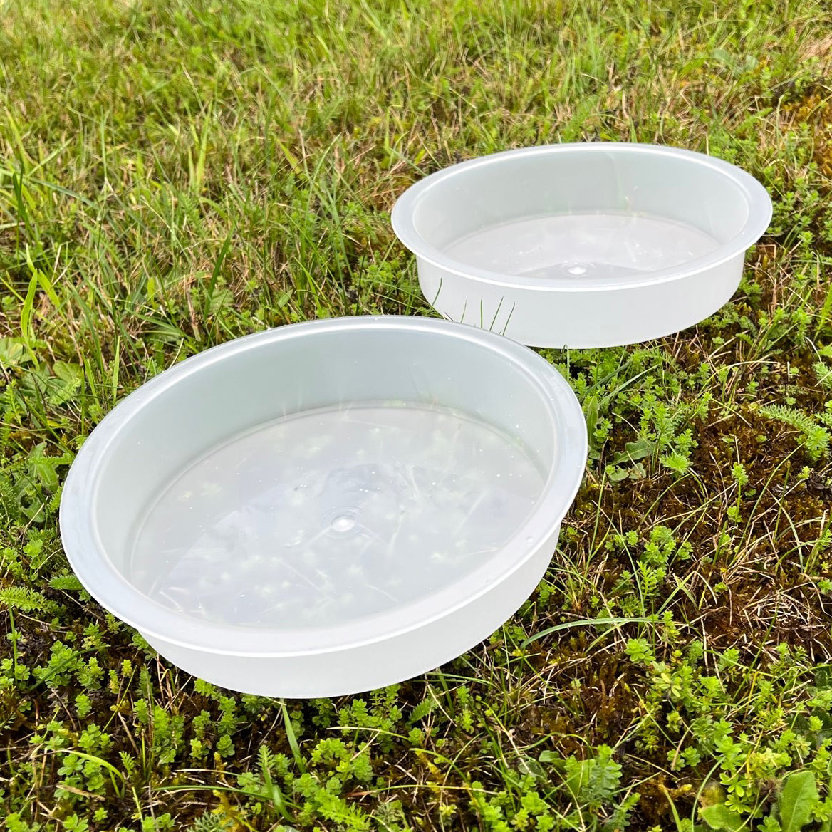 Bird Bath Water Dish for Bird Feeding Stations (Set of 2)