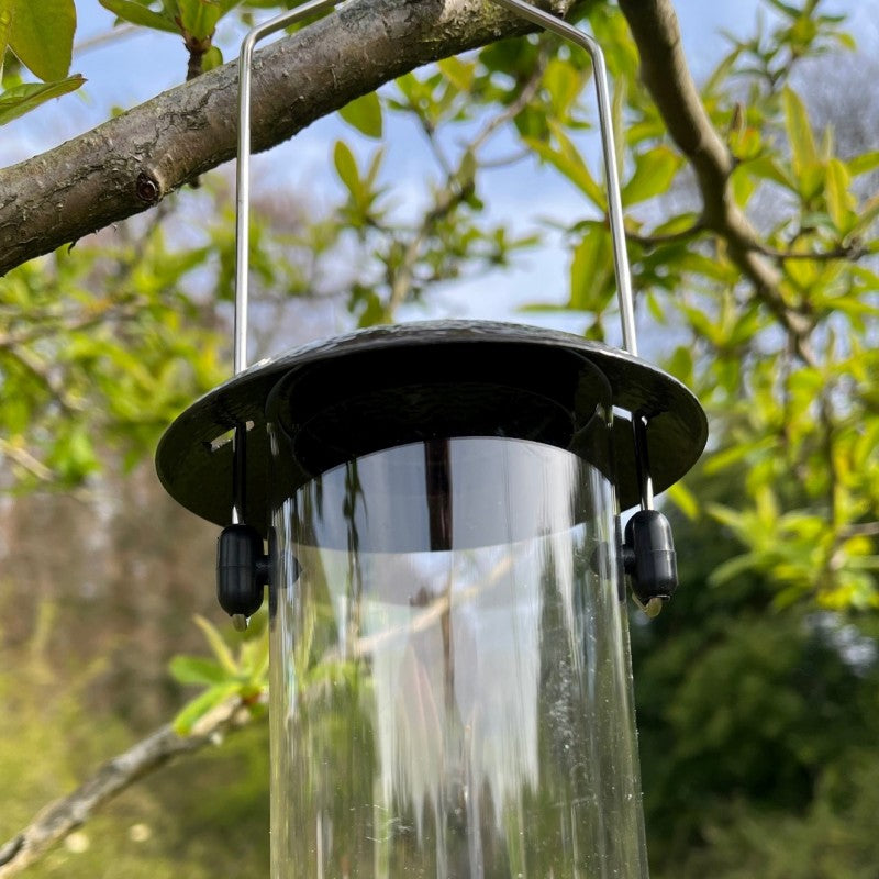 Hanging Bird Seed Feeder