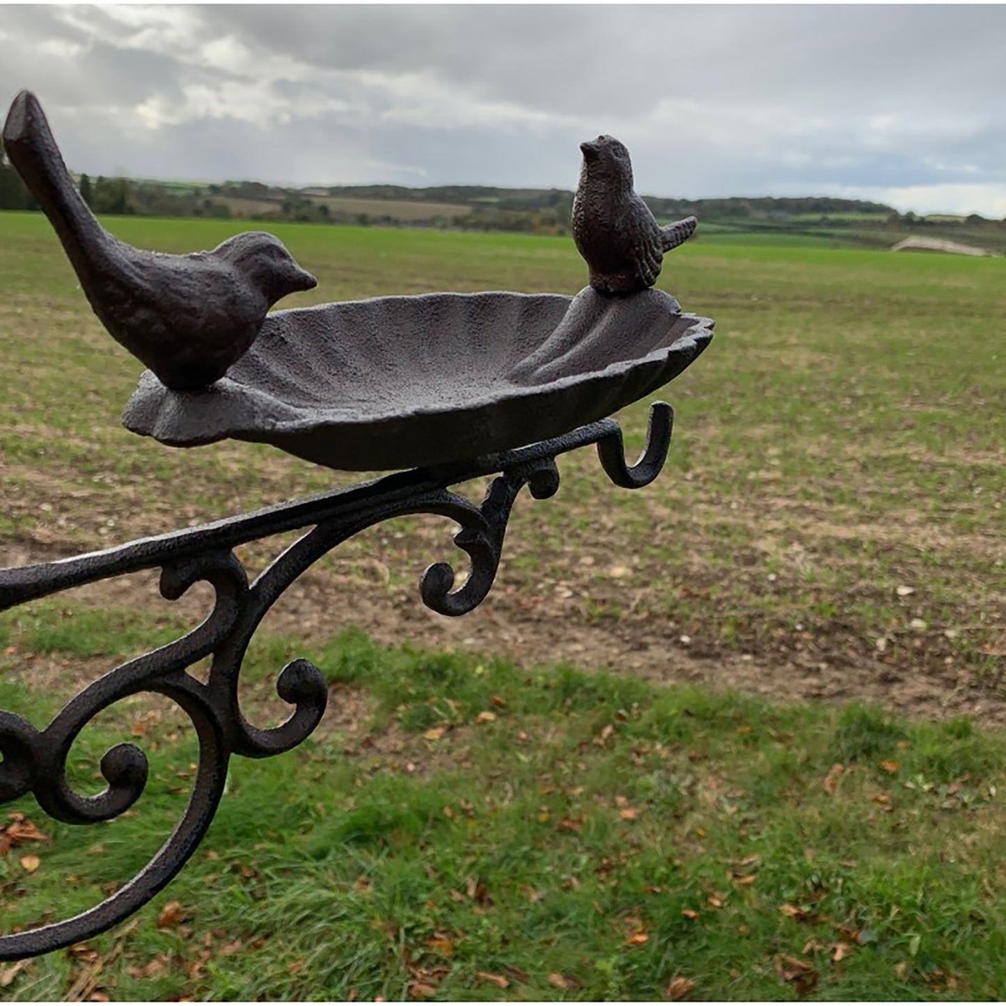 Conwy & Venus Cast Iron Wall Mounted Bird Feeder Bath (Set of 2)