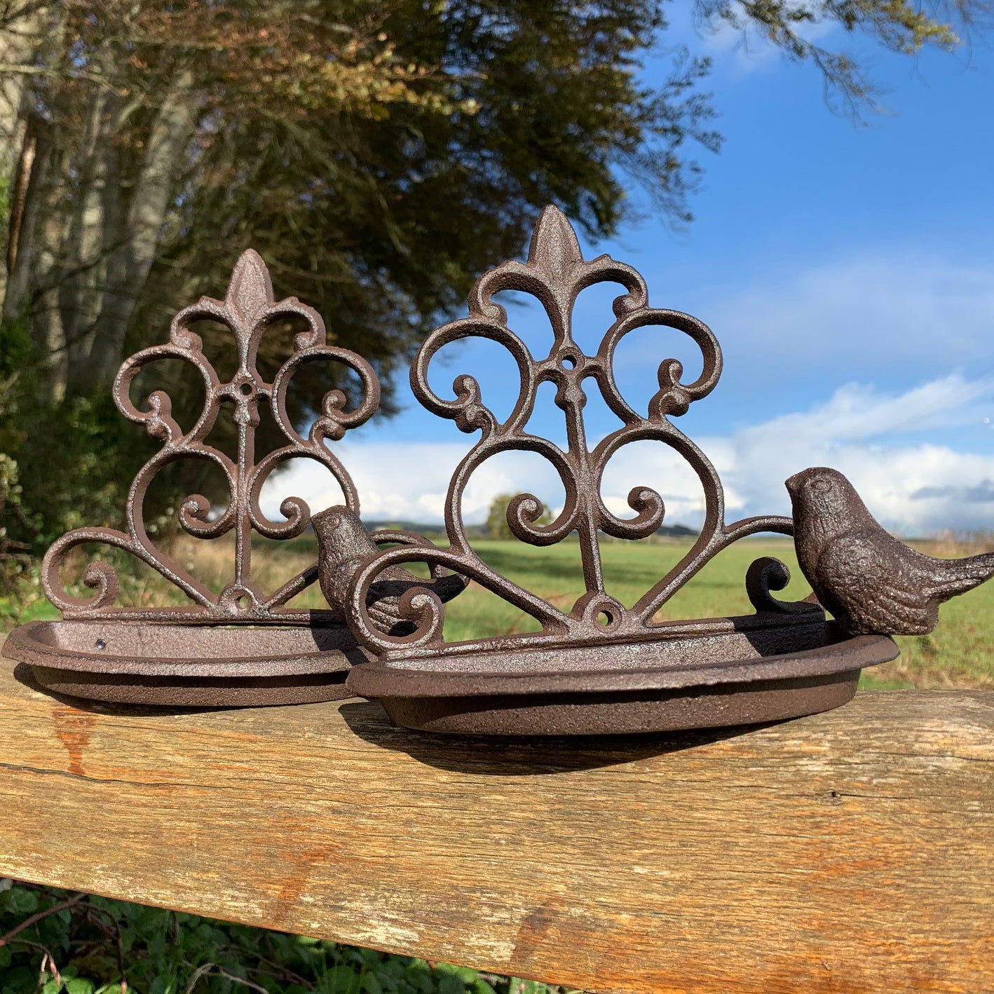 Conwy Cast Iron Wall Mounted Bird Feeder (Set of 2)