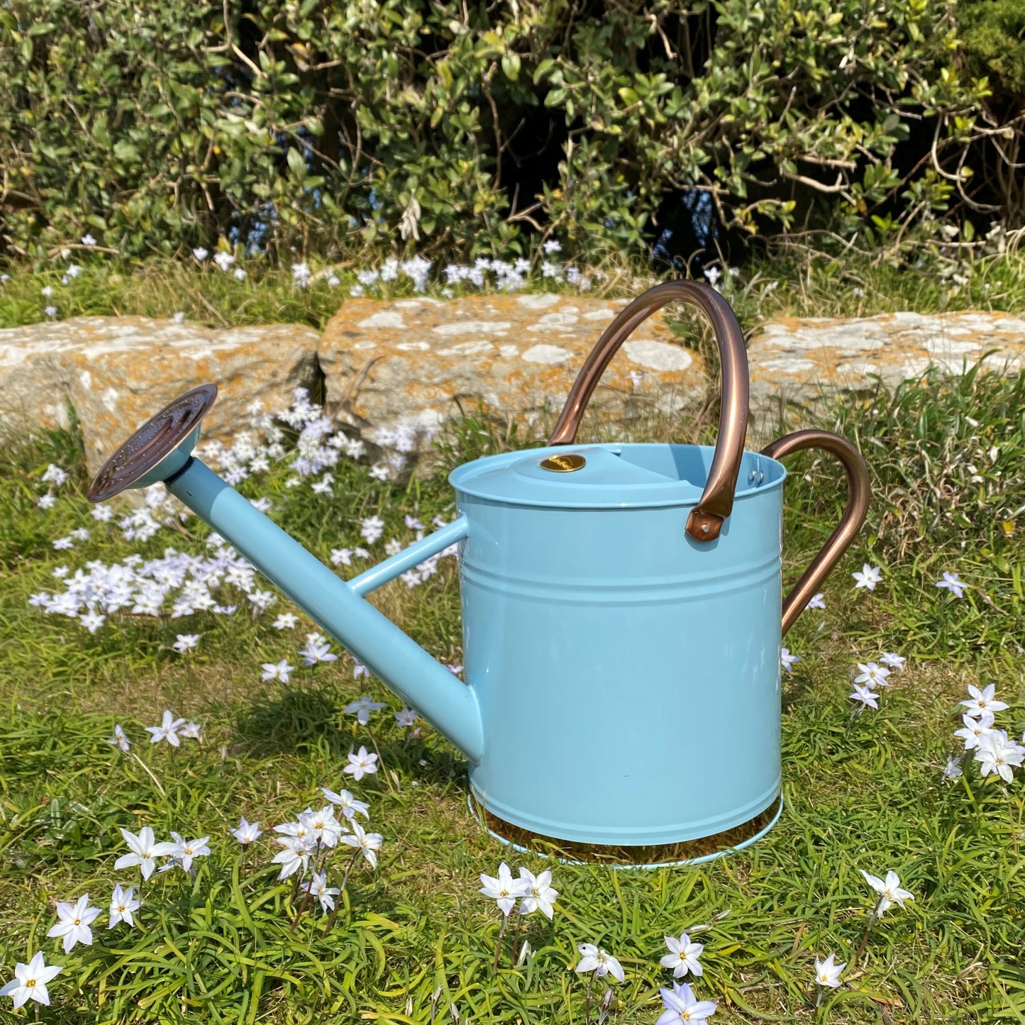 A duck egg blue watering can with copper-colored handles and a rose detail, displayed on a grassy surface with flowers and shrubbery in the background.