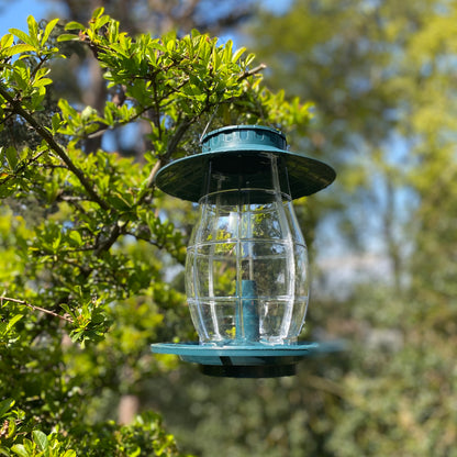 Godrevy Lantern Seed Bird Feeder