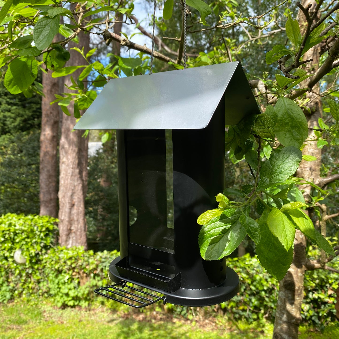 Wentworth Bird Seed Feeder with 4 Feeding Ports