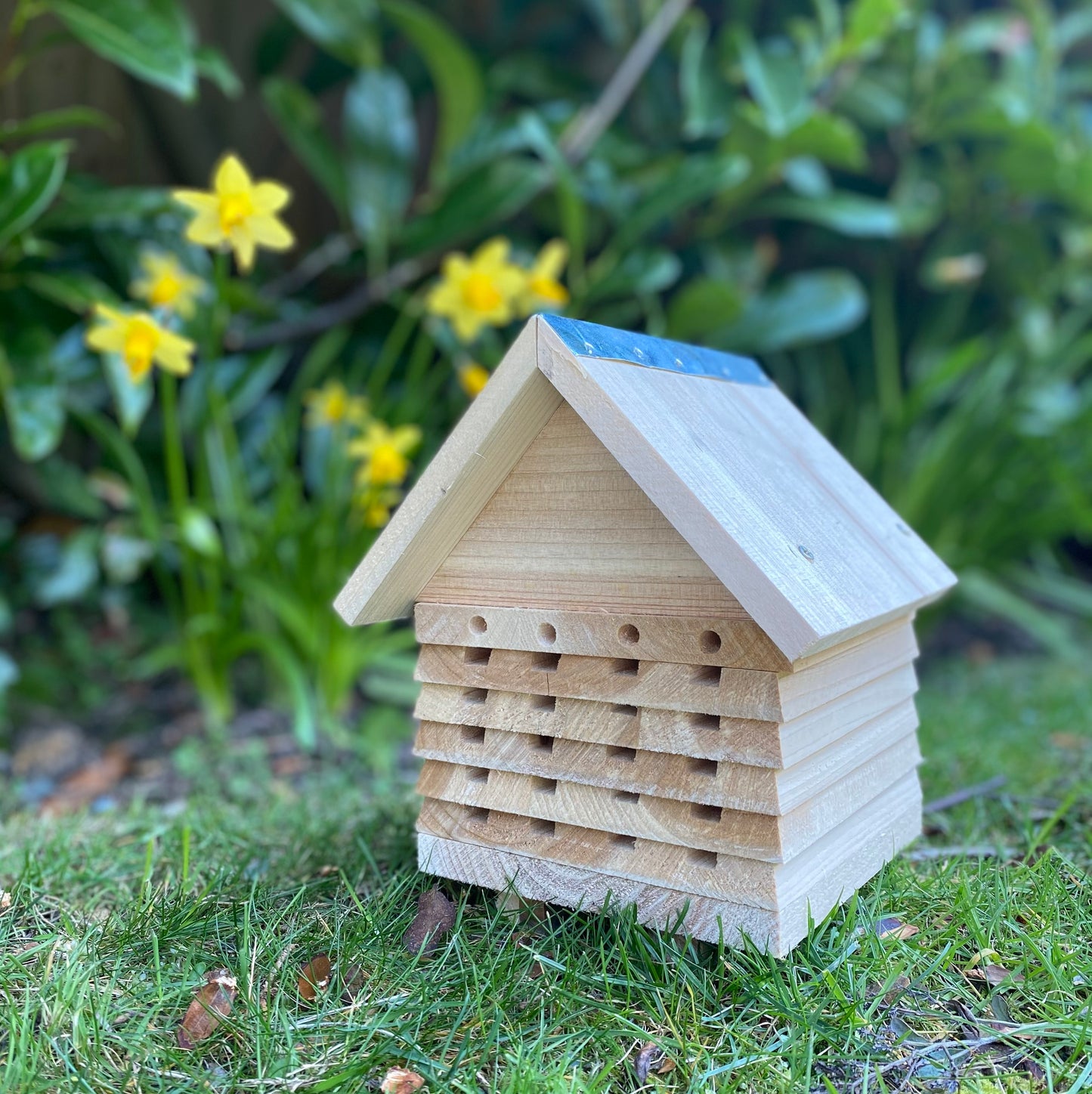 Wooden Solitary Bee Hive Bug House Hotel Habitat