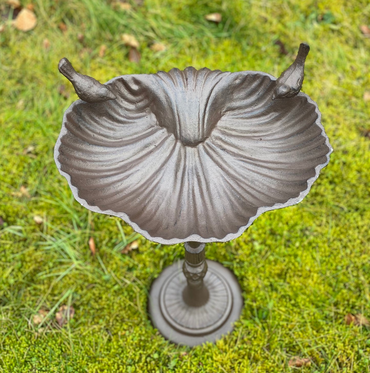 Windsor Cast Iron Stand & Hanging Bird Bath Set