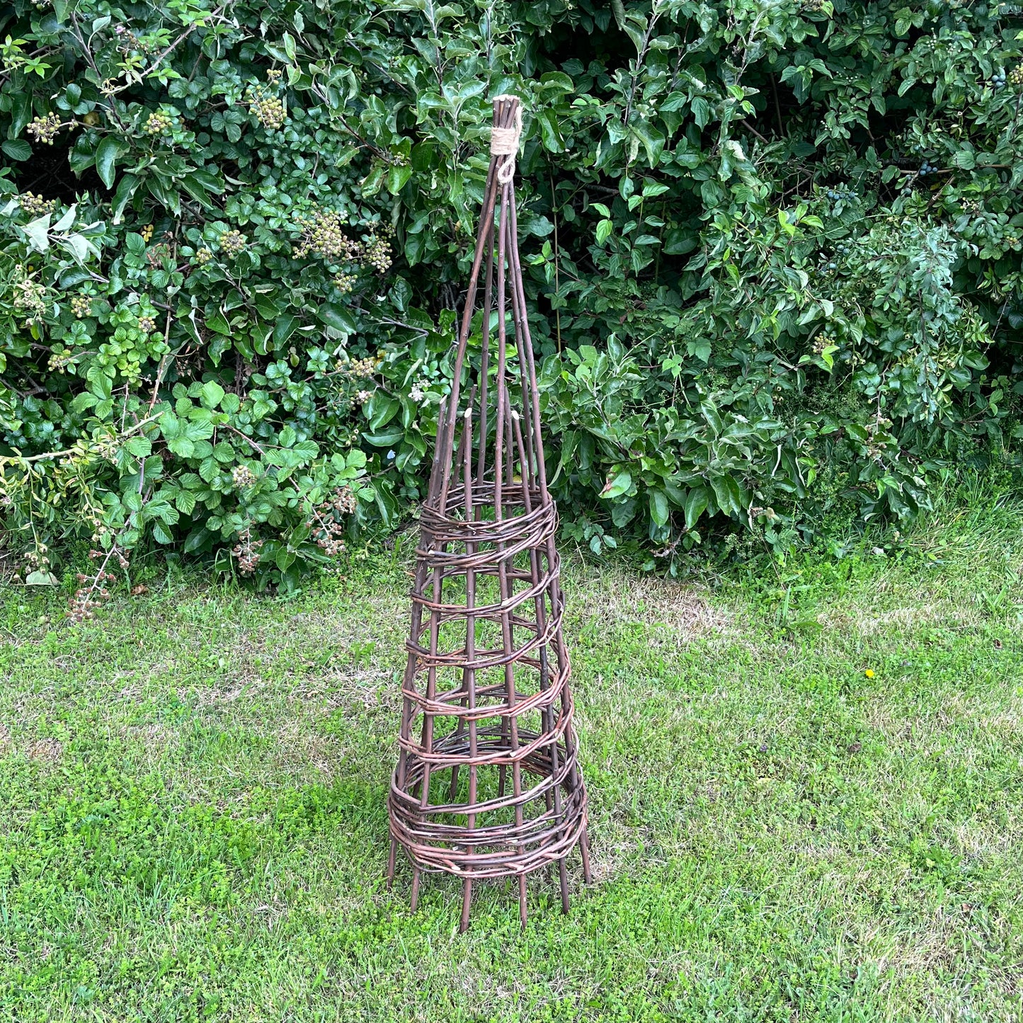 Set of 2 Rustic Willow Garden Obelisks (1.2m)