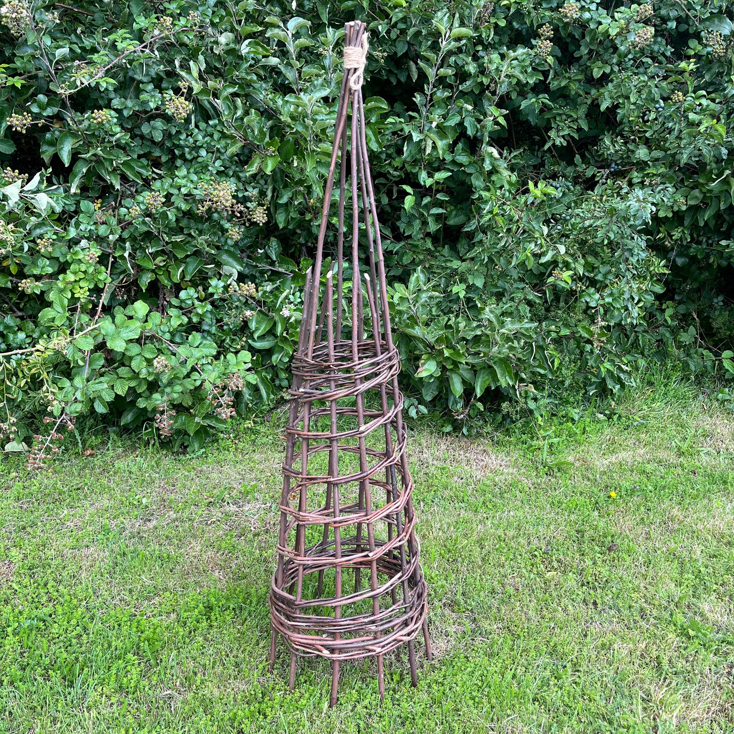 Rustic Willow Garden Obelisk (1.2m)