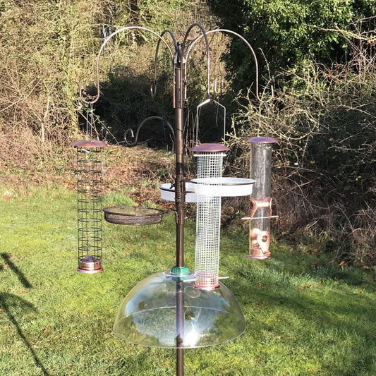 A metal bird feeding station with three copper style feeders hanging from a central pole, set against a natural background.