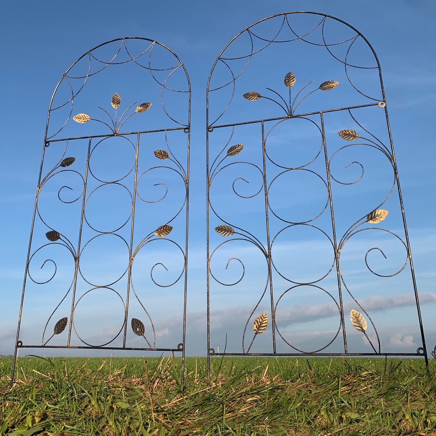 Set of 2 Leaf Design Metal Trellis (120cm x 50cm)