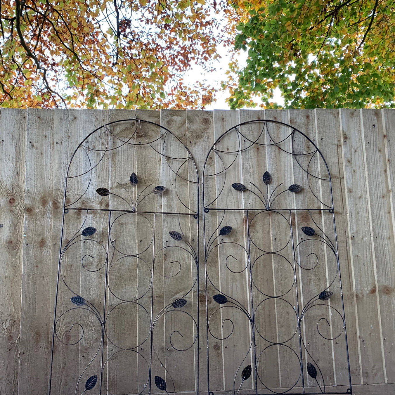 Leaf Design Metal Garden Trellis (120cm x 50cm) - Pack of 3