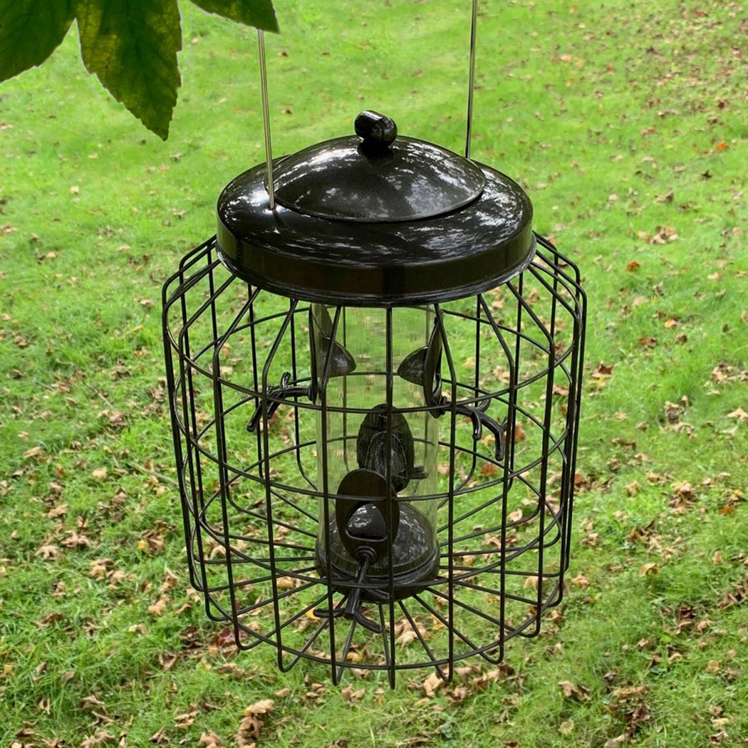 Heavy Duty Squirrel Proof Hanging Bird Seed Feeder (Set of 2)