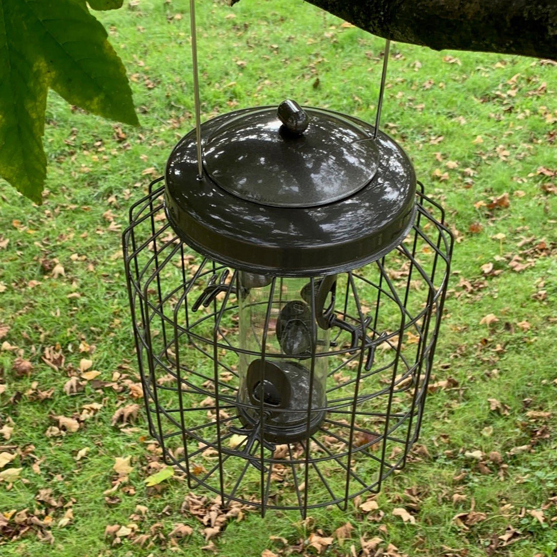 Heavy Duty Squirrel Proof Hanging Bird Seed Feeder (Set of 2)