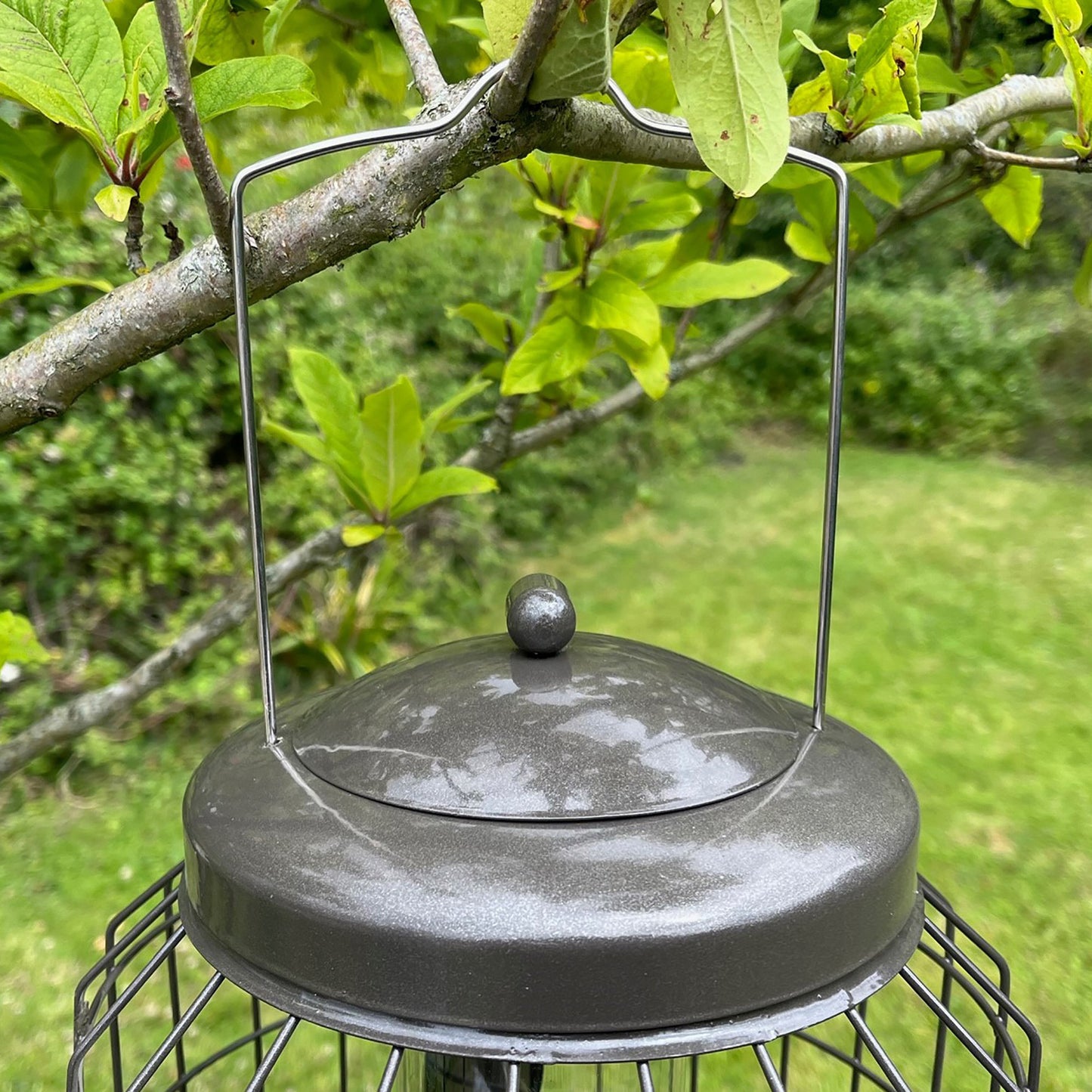 Heavy Duty Squirrel Proof Hanging Bird Seed Feeder