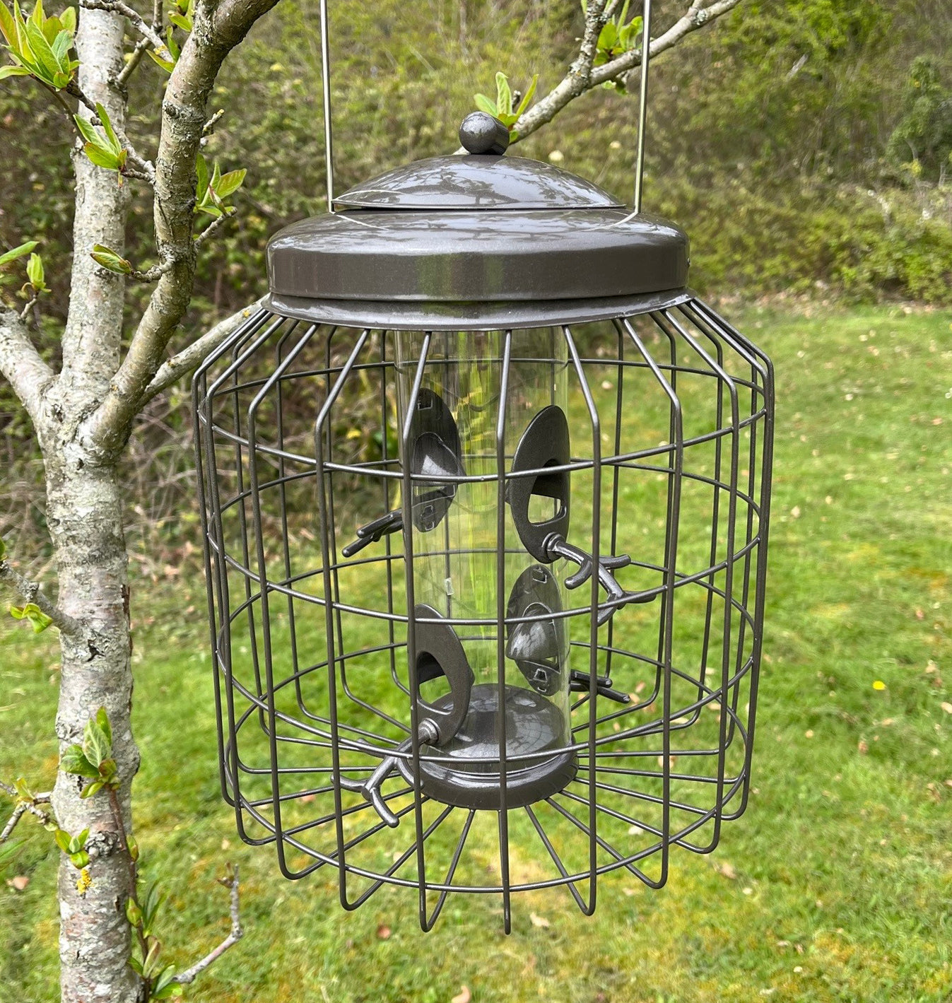 Heavy Duty Squirrel Proof Hanging Bird Seed Feeder (Set of 2)