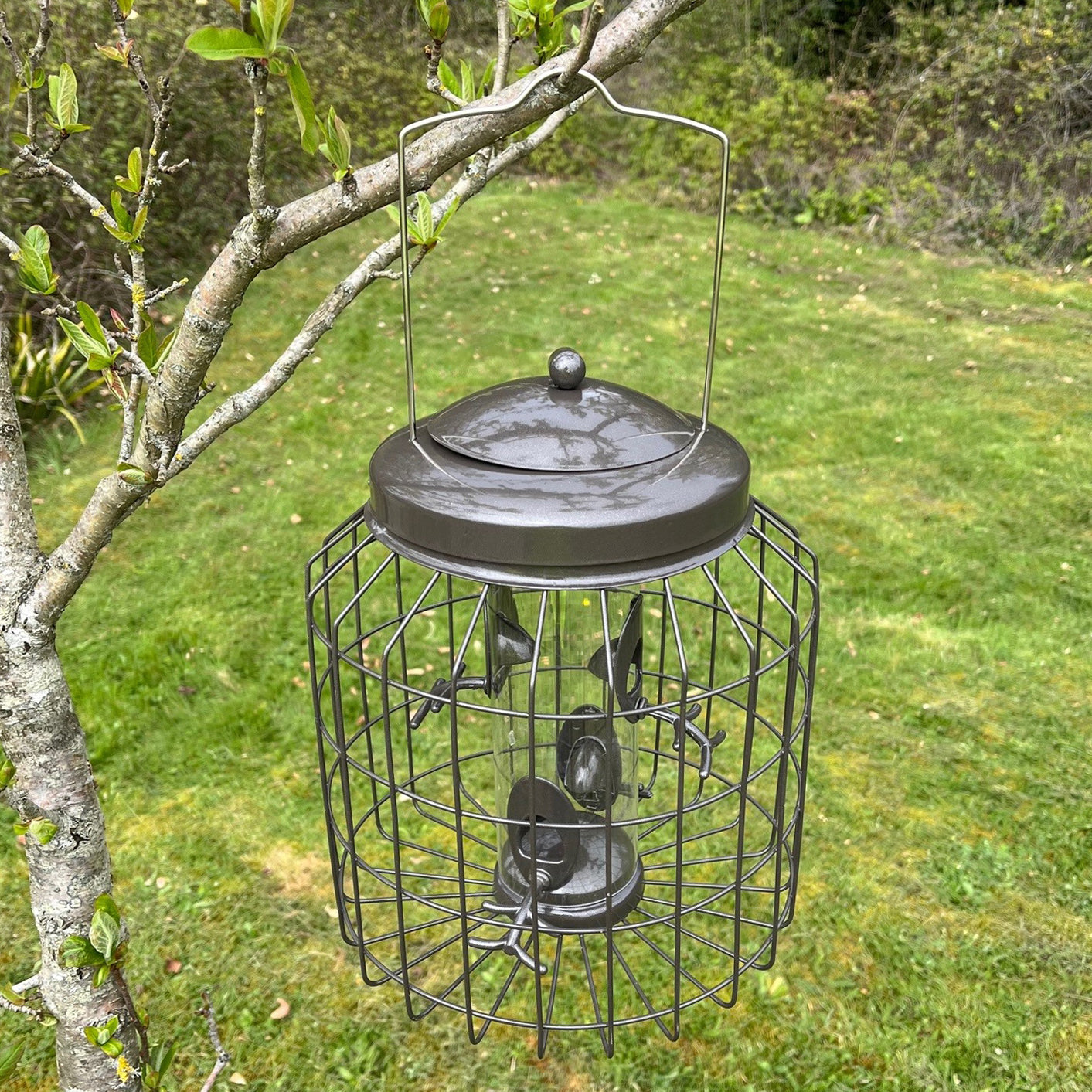 Heavy Duty Squirrel Proof Hanging Bird Seed & Nut Feeders (Set of 2)