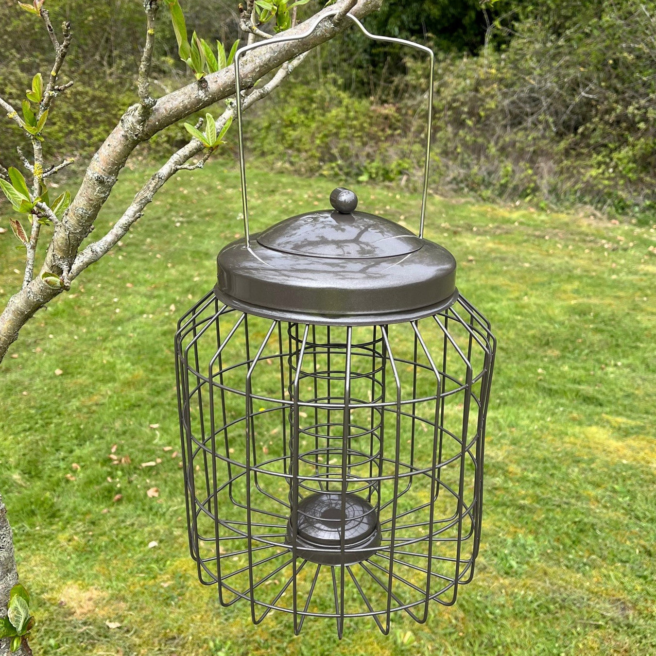 Rosewood Squirrel Proof Lantern Bird Feeder - Tough Hanging Feeder For Seed, Nuts, And Fat Balls