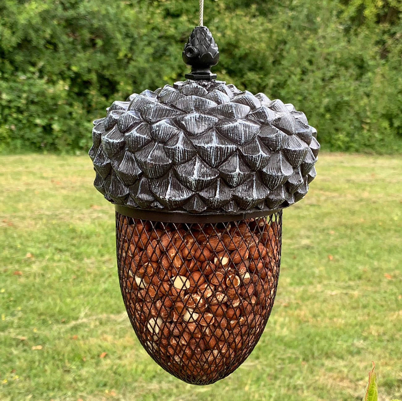 Hanging Acorn Shaped Nut Bird Feeder