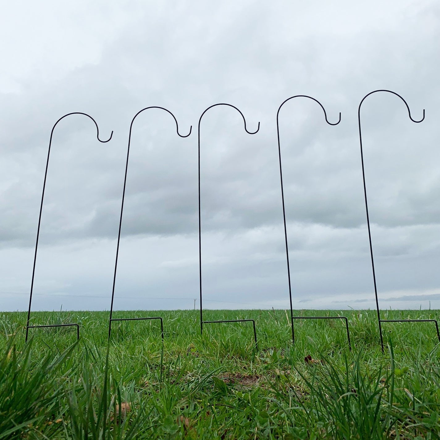 Shepherds Crook Black Metal Garden Border Hook (1m) with 17cm Support Stand - Pack of 5