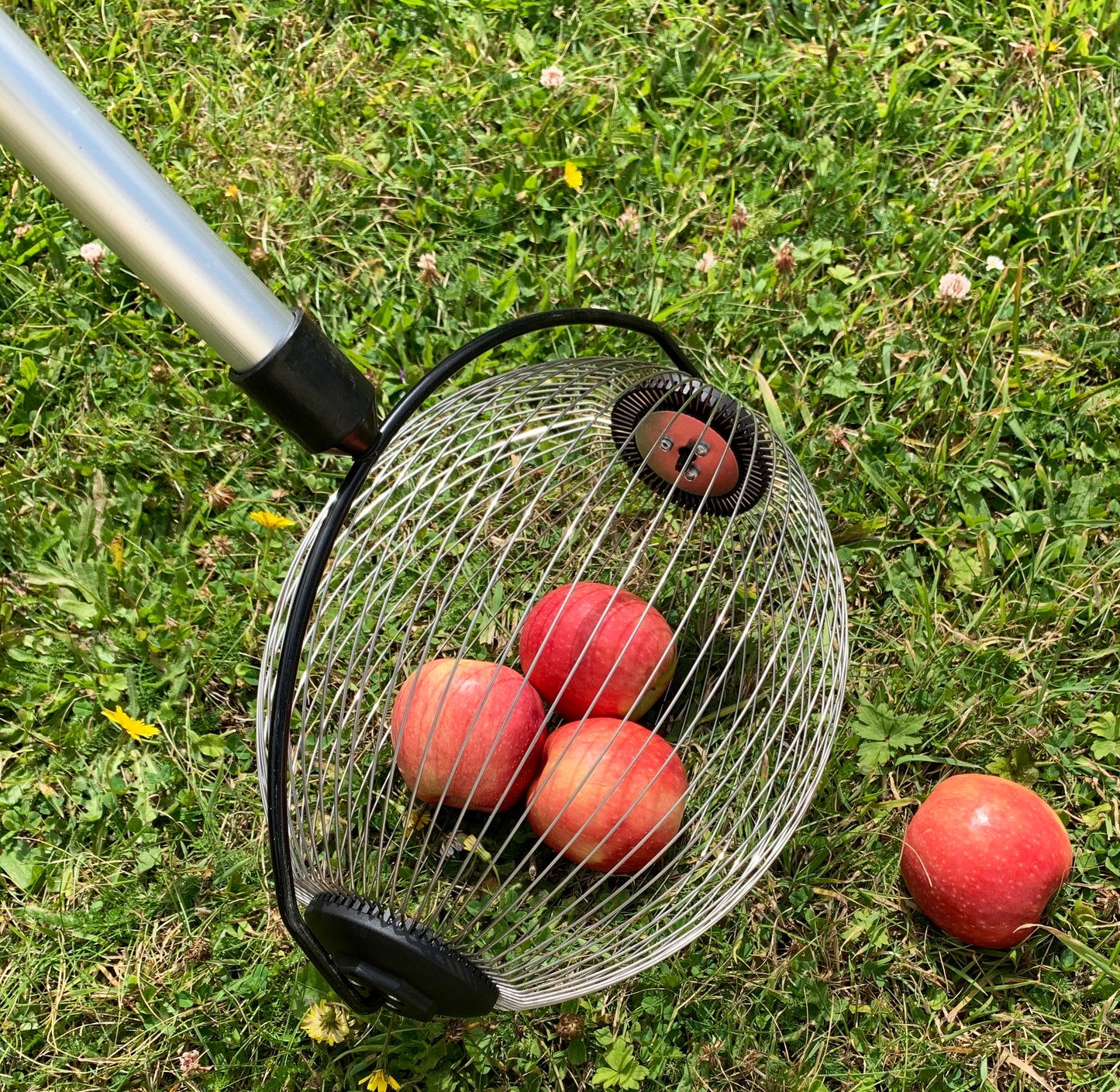 Apple Harvesting Collection Kit - Apple Picker Plus Rolling Collector