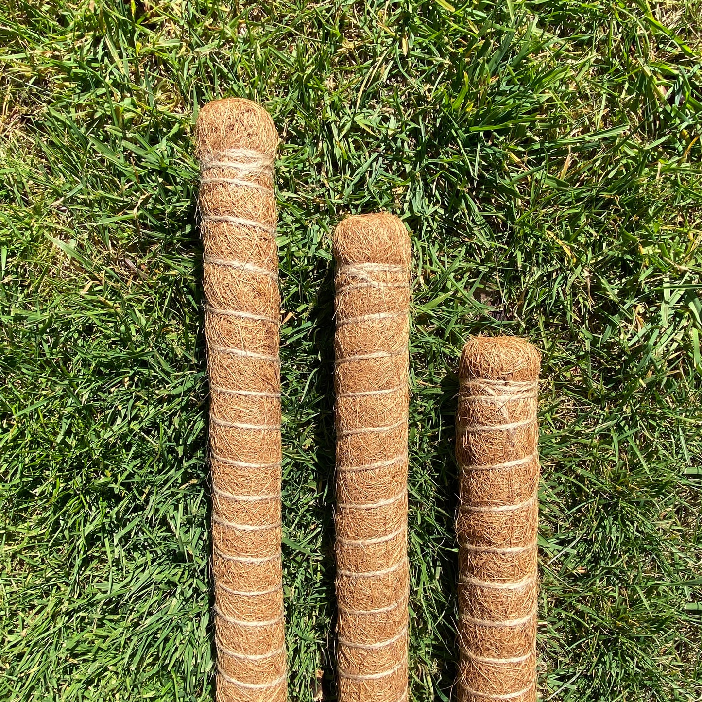 House Plant Support Stake Coconut Fibre Pole Sticks (80cm) - Pack of 3