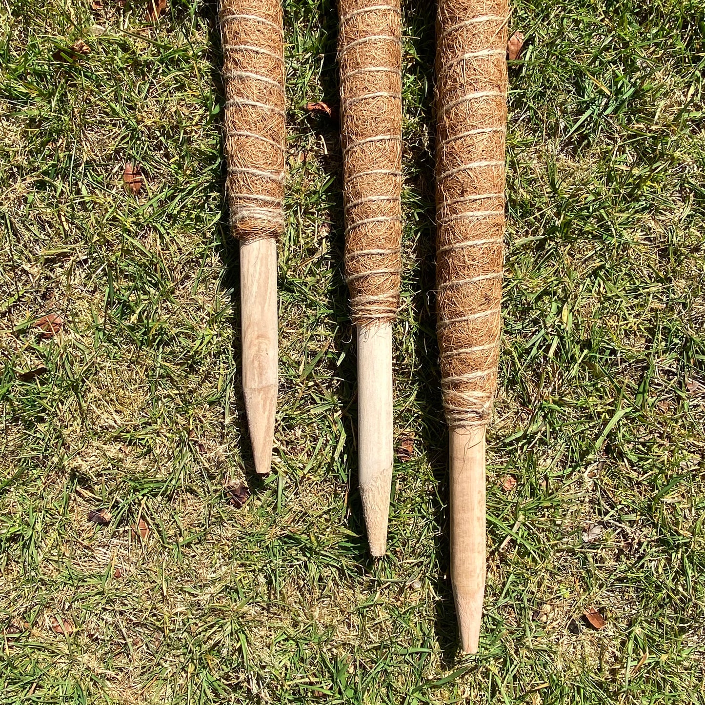 House Plant Support Stake Coconut Fibre Pole Sticks (80cm) - Pack of 3