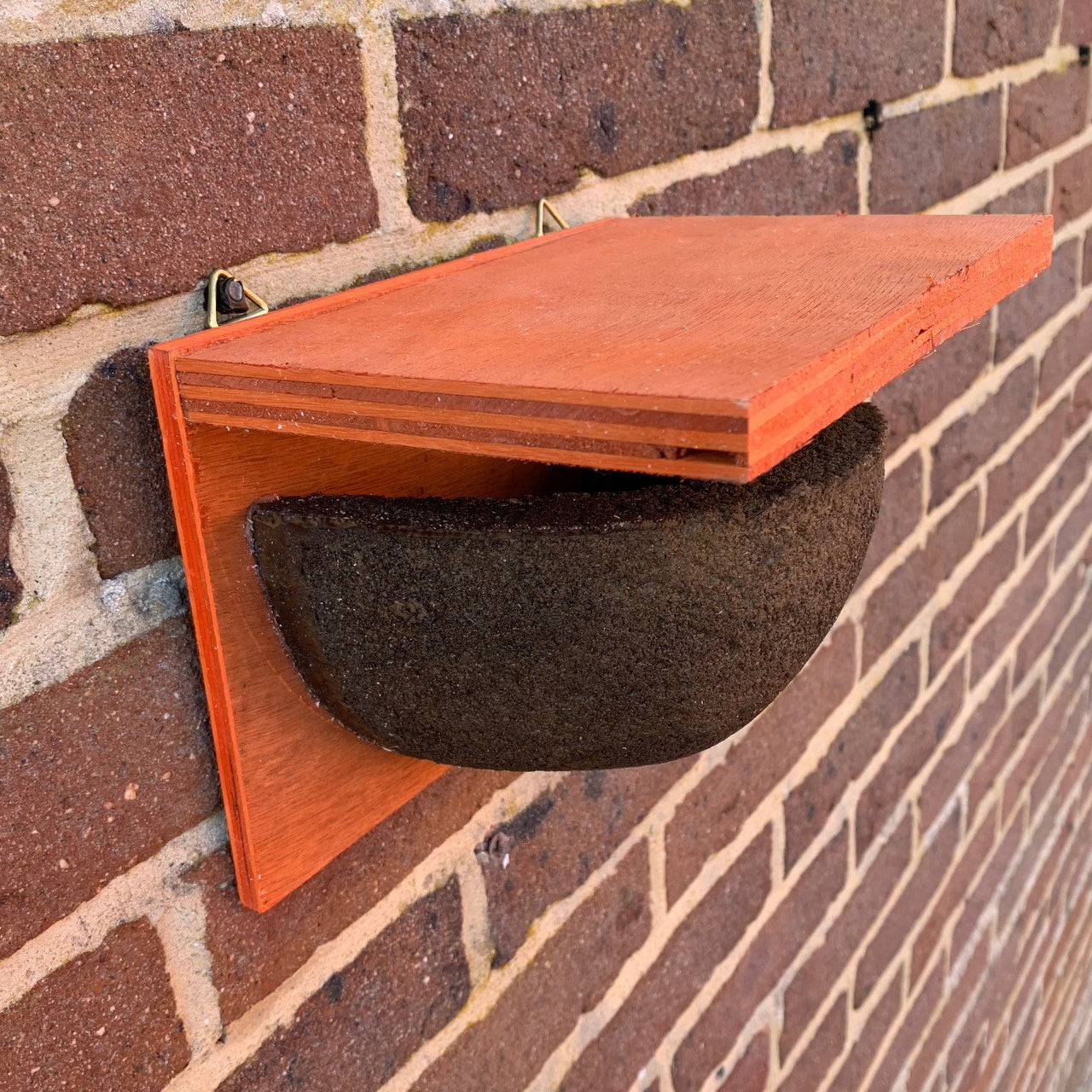 House Martin Bird Nest Box