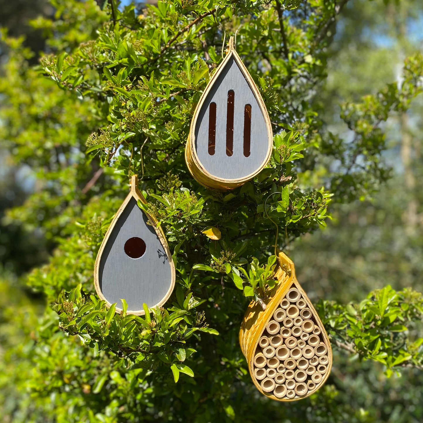Hanging Teardrop Bird Nest Box, Insect Hotel & Butterfly House Wildlife Care Set