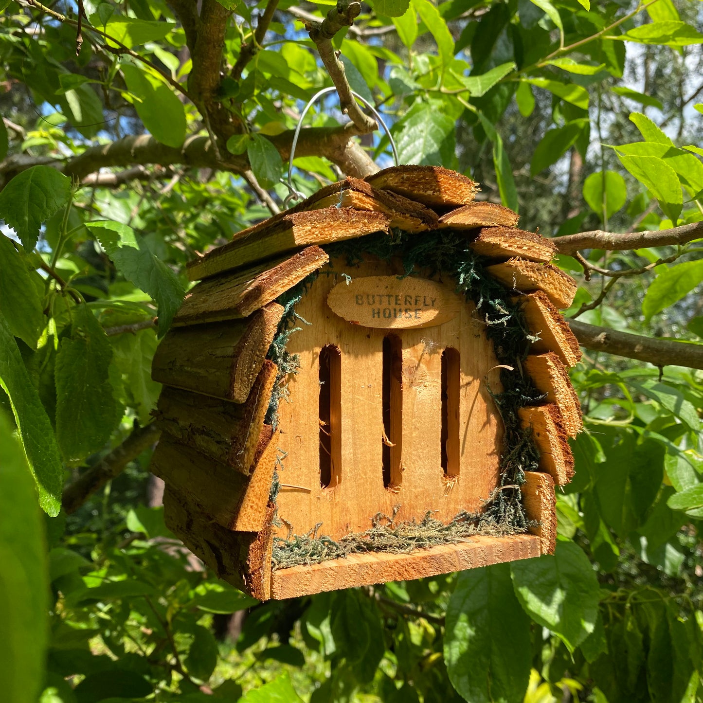 Wooden Hanging Butterfly & Ladybird House Set