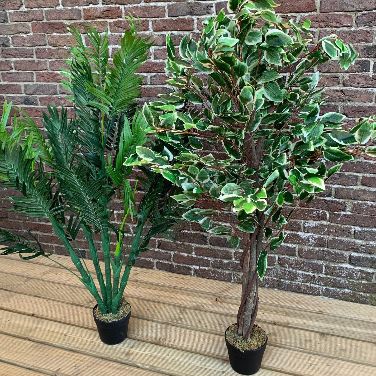 Artificial Palm And Ficus Tree Pair (125cm)