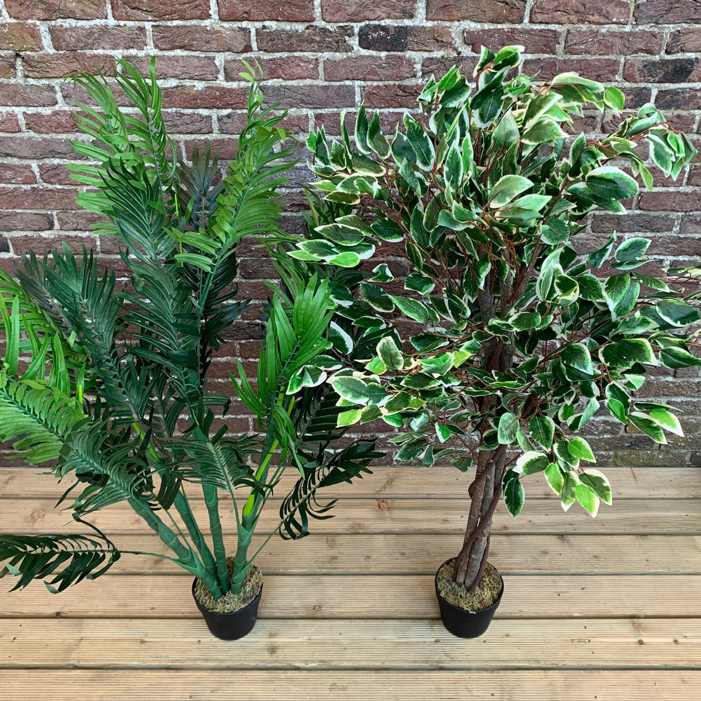 Artificial Palm And Ficus Tree Pair (125cm)