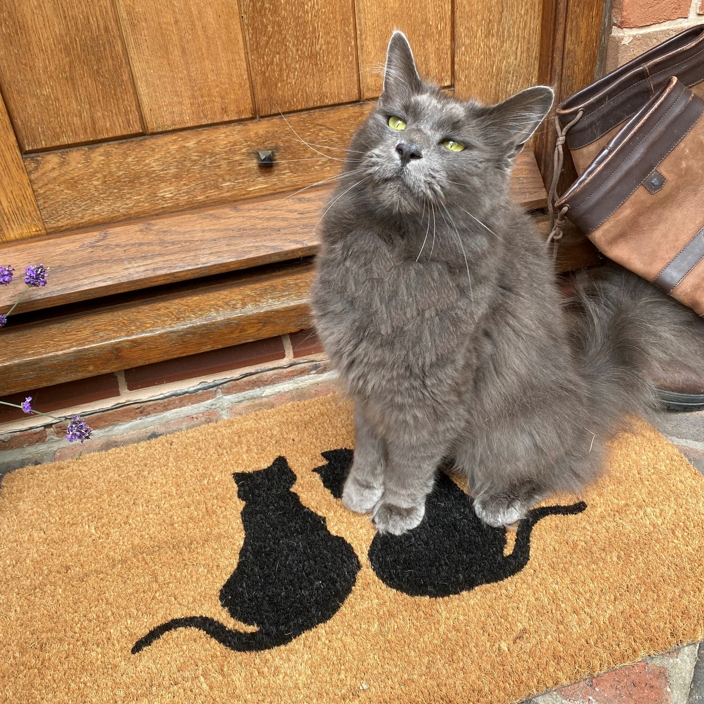 Cat Silhouette Indoor & Outdoor Coir Doormat