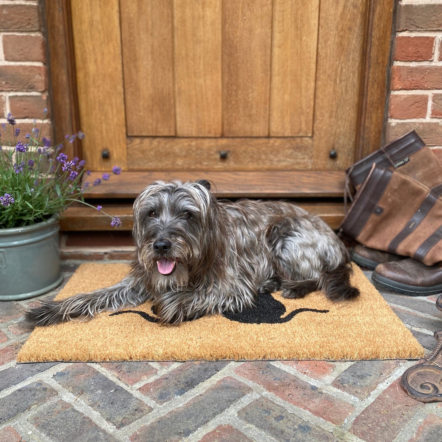 Cat Silhouette Indoor & Outdoor Coir Doormat