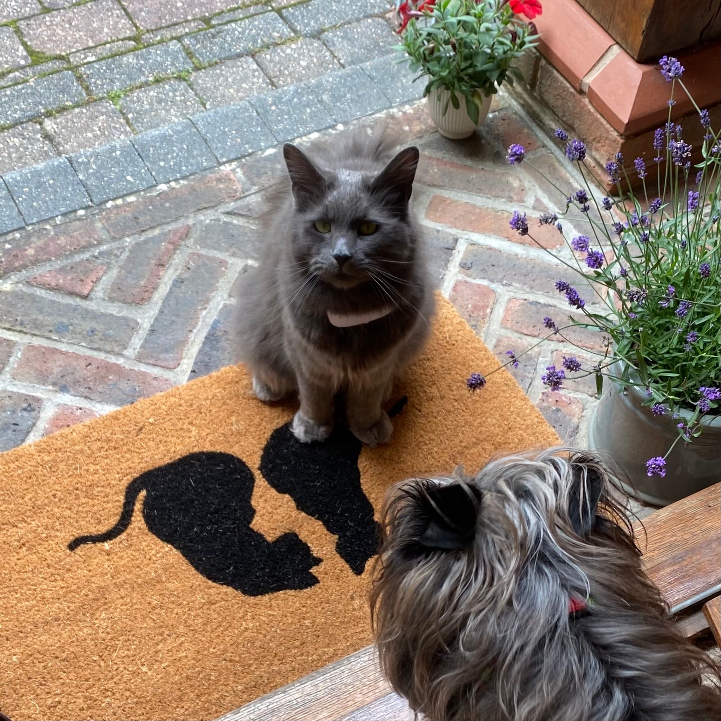 Cat Silhouette Indoor & Outdoor Coir Doormat