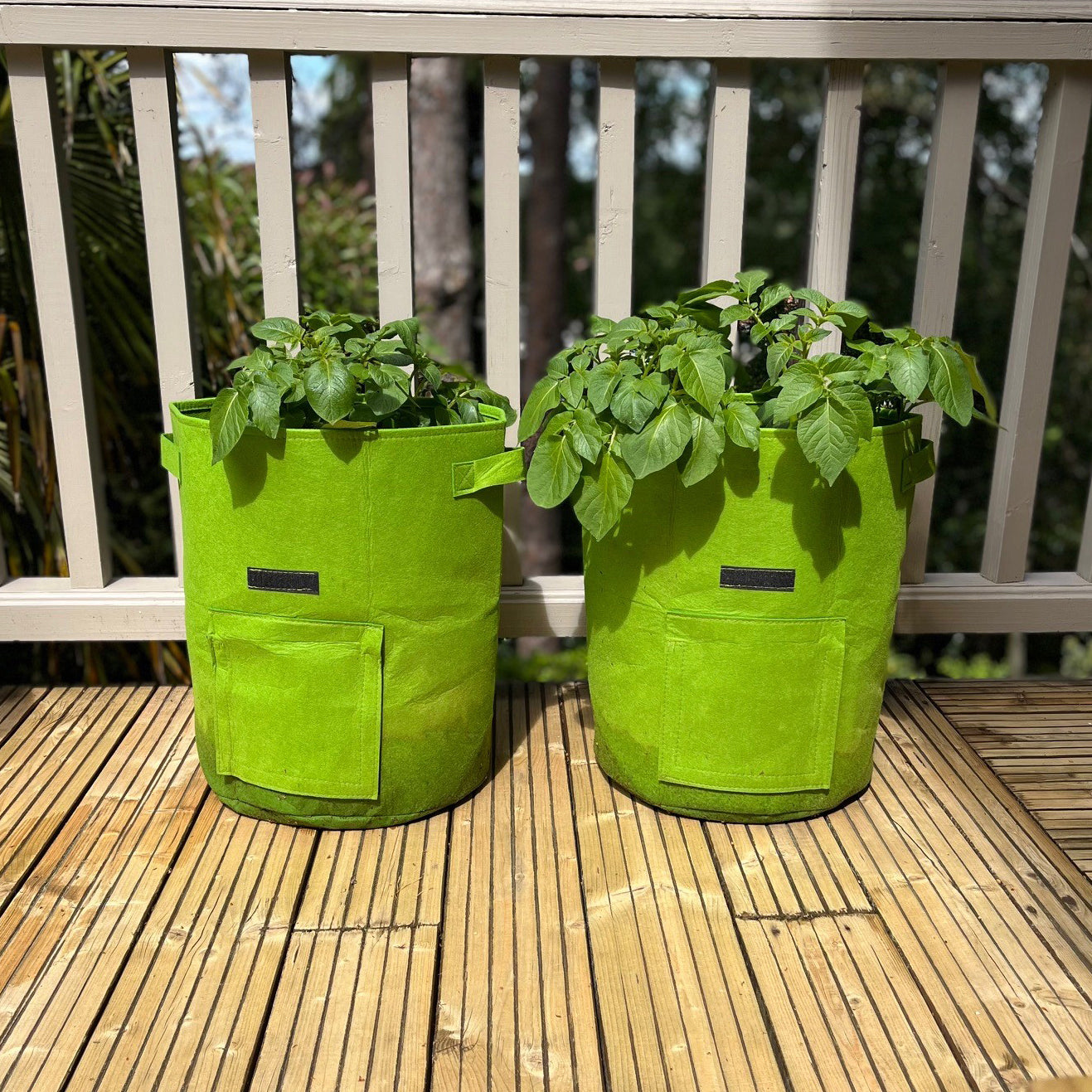 Potato Planter Grow Bags Fabric Pots (37 litre) - Pack of 2