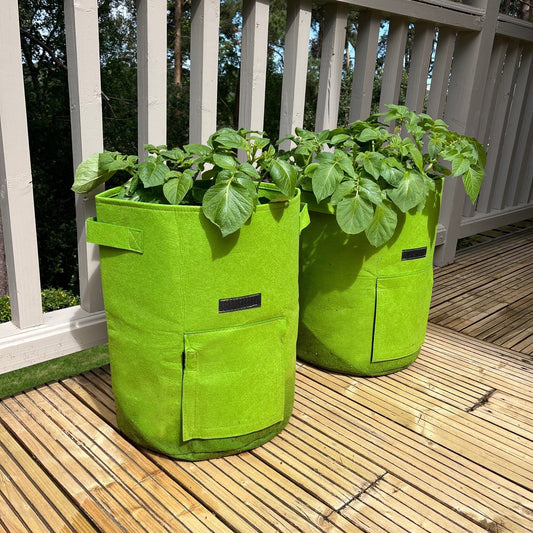 Two green potato planter grow bags with plants growing in them, placed on a wooden deck.