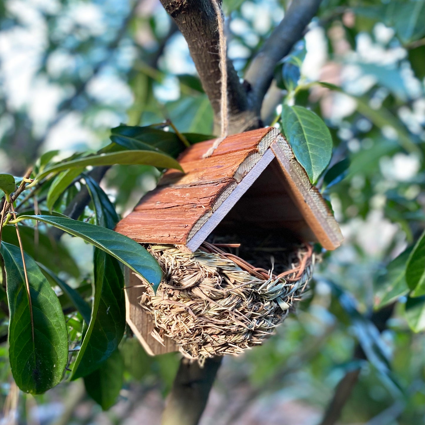 Woven House Martin Bird Nesters with Wooden Roof (Set of 2)