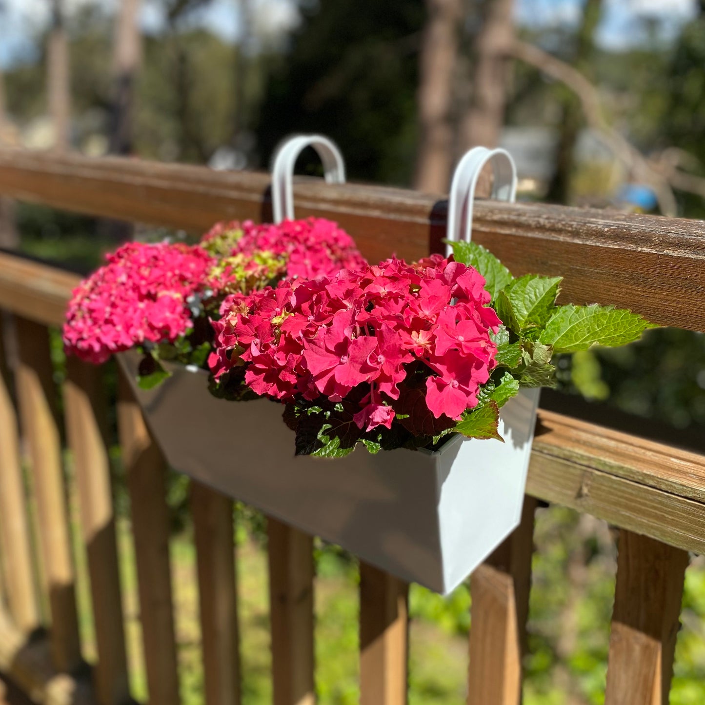 Ice White Balcony Railing Hanging Planters - Pack of 2