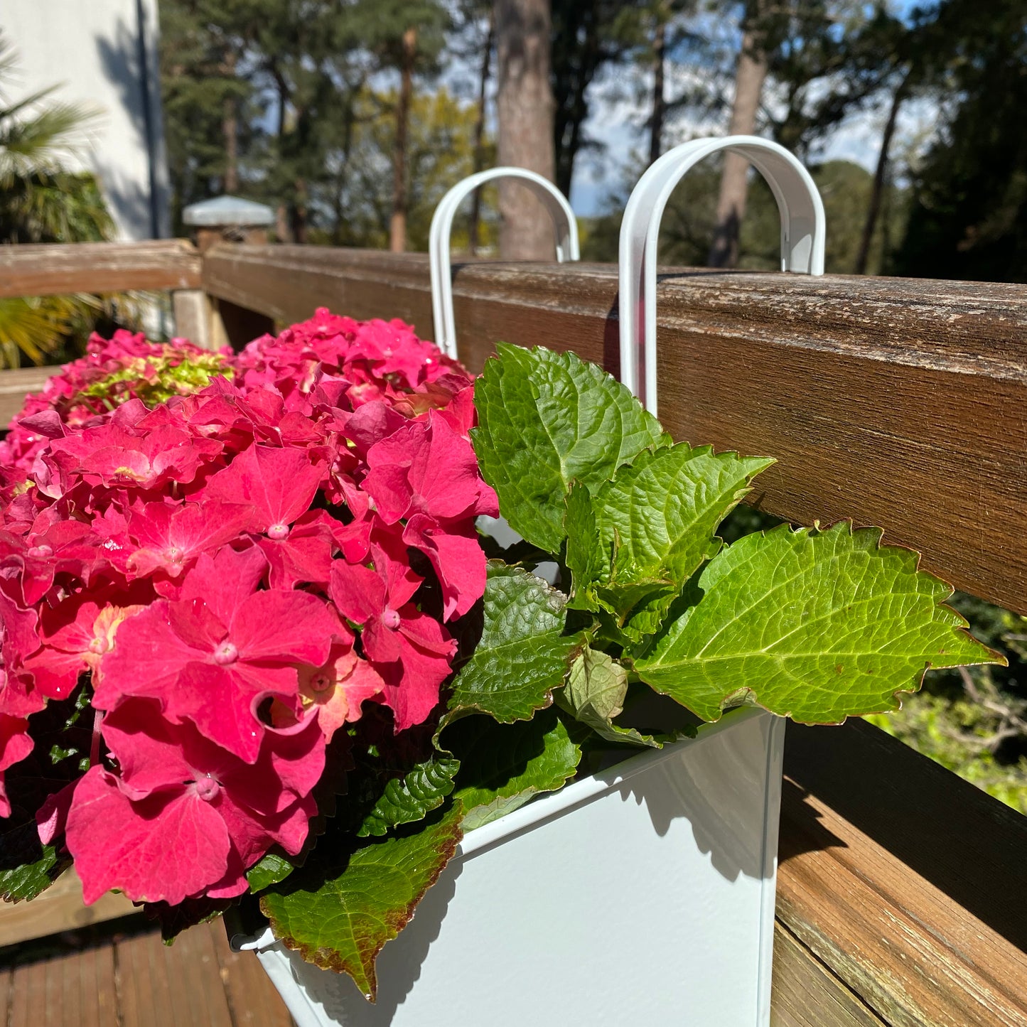 Ice White Balcony Railing Hanging Planters - Pack of 2