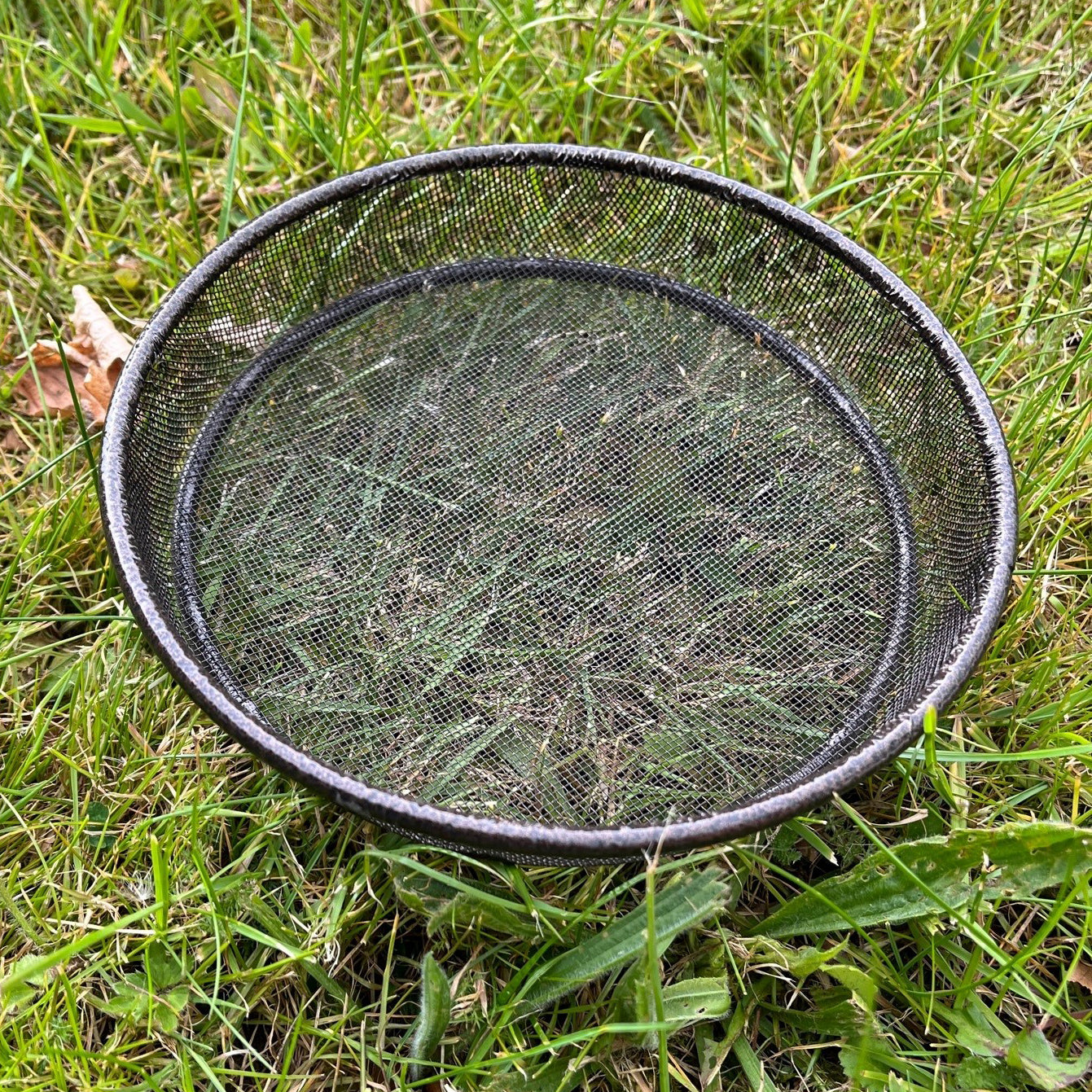 Metal Bird Feeding Station with Mealworm Tray and Water Dish