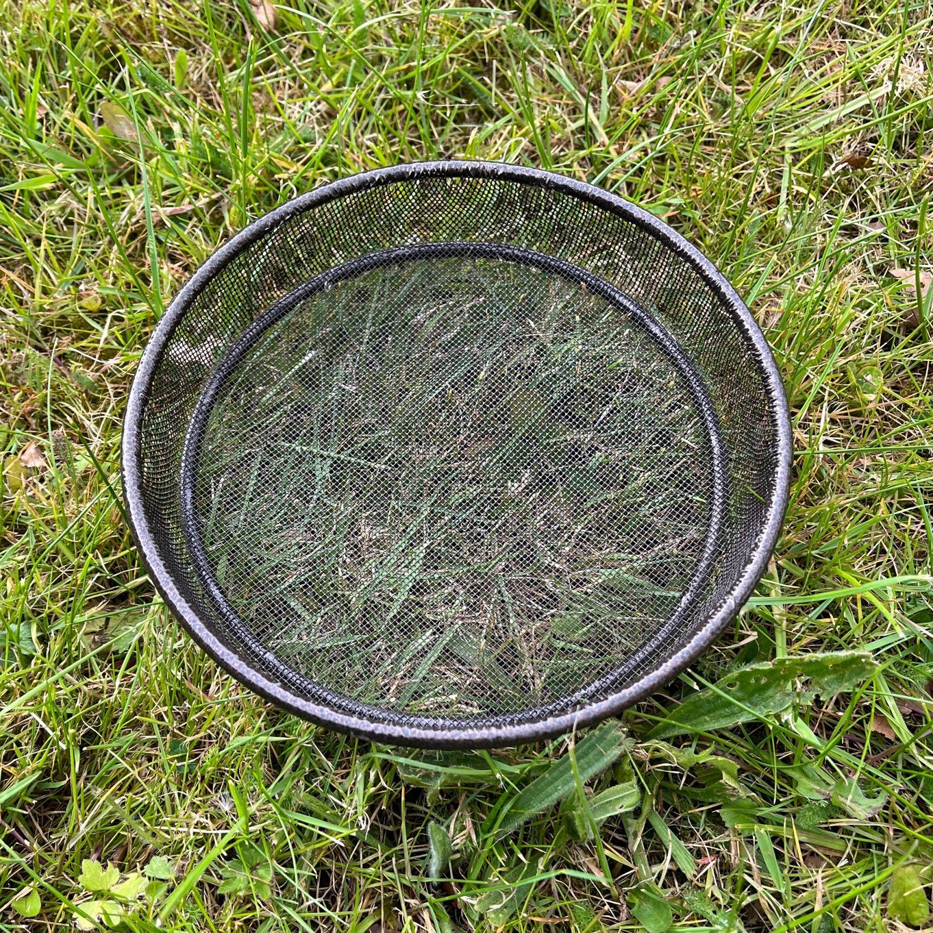 Bird Seed, Nuts, Mealworms Metal Mesh Dish Tray for Metal Bird Feeding Stations (Set of 2)