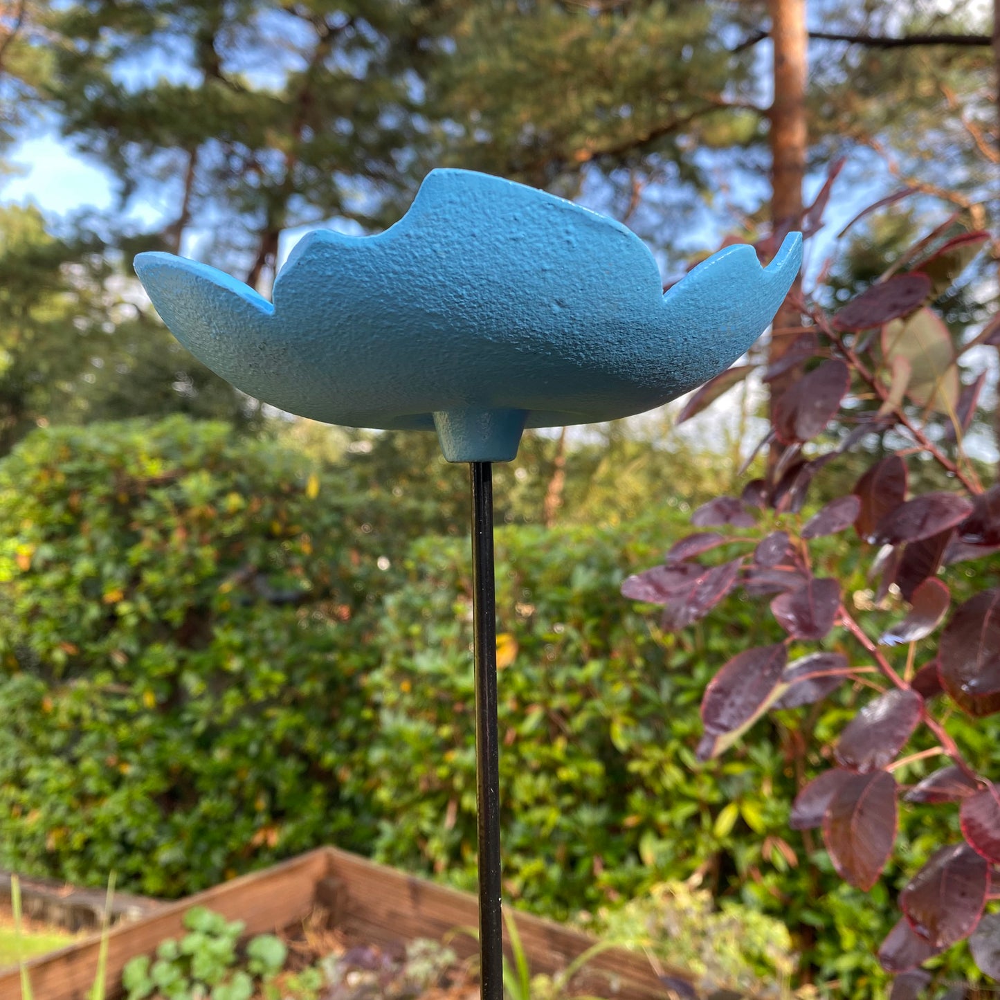 Cast Iron Wild Bird Forget Me Not Flower Dish Bird Feeders (Set of 5)