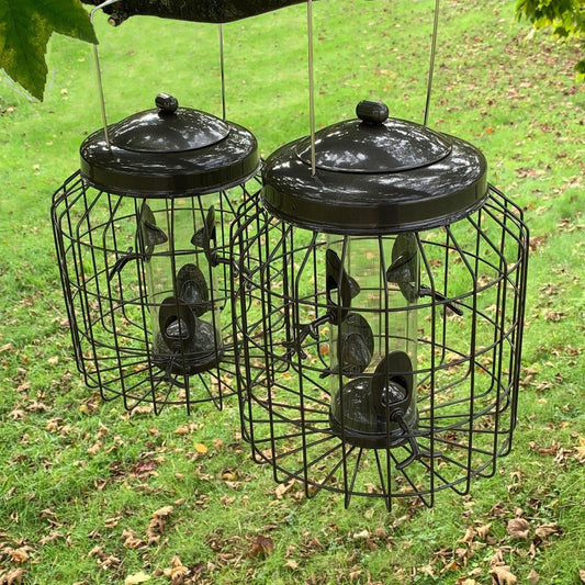 Two black metal squirrel proof bird seed feeders hanging with lids on, set in an outdoor environment.