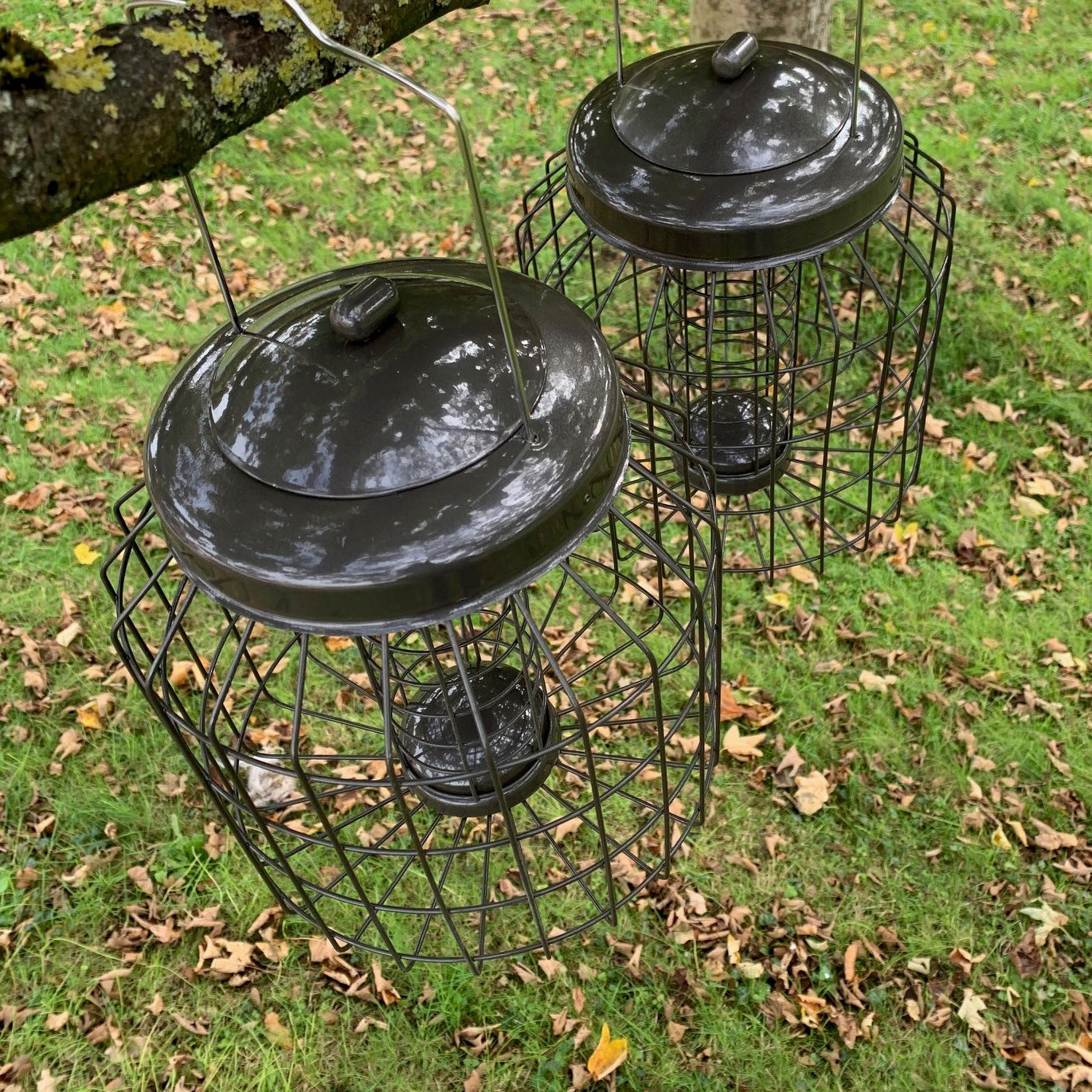 Heavy Duty Squirrel Proof Hanging Bird Suet Fat Ball Feeder (Set of 2)