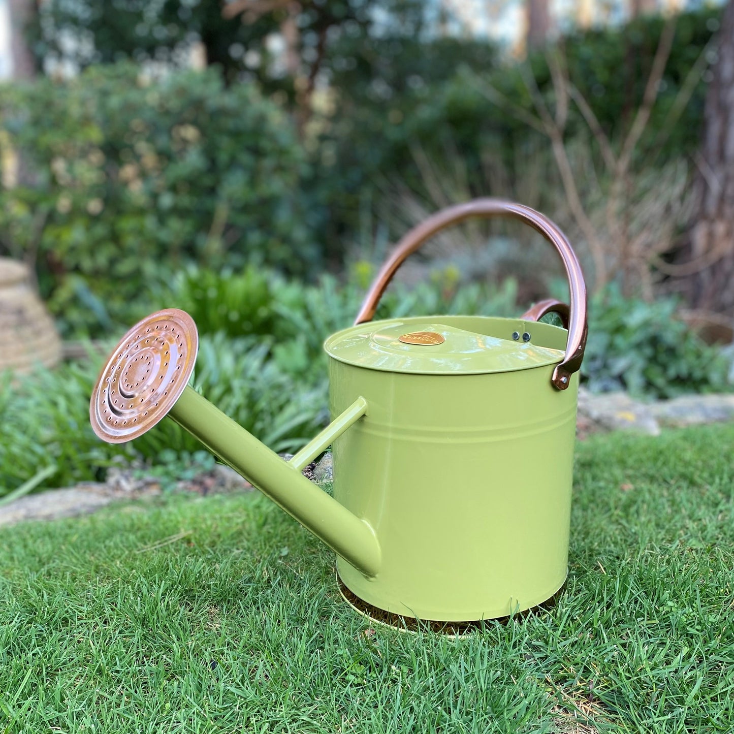 Sage Green & Copper Metal Watering Can with Rose (9 Litre)