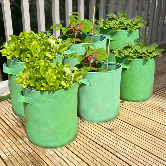 A set of green non-woven aeration fabric pots on a wooden deck, filled with plants.