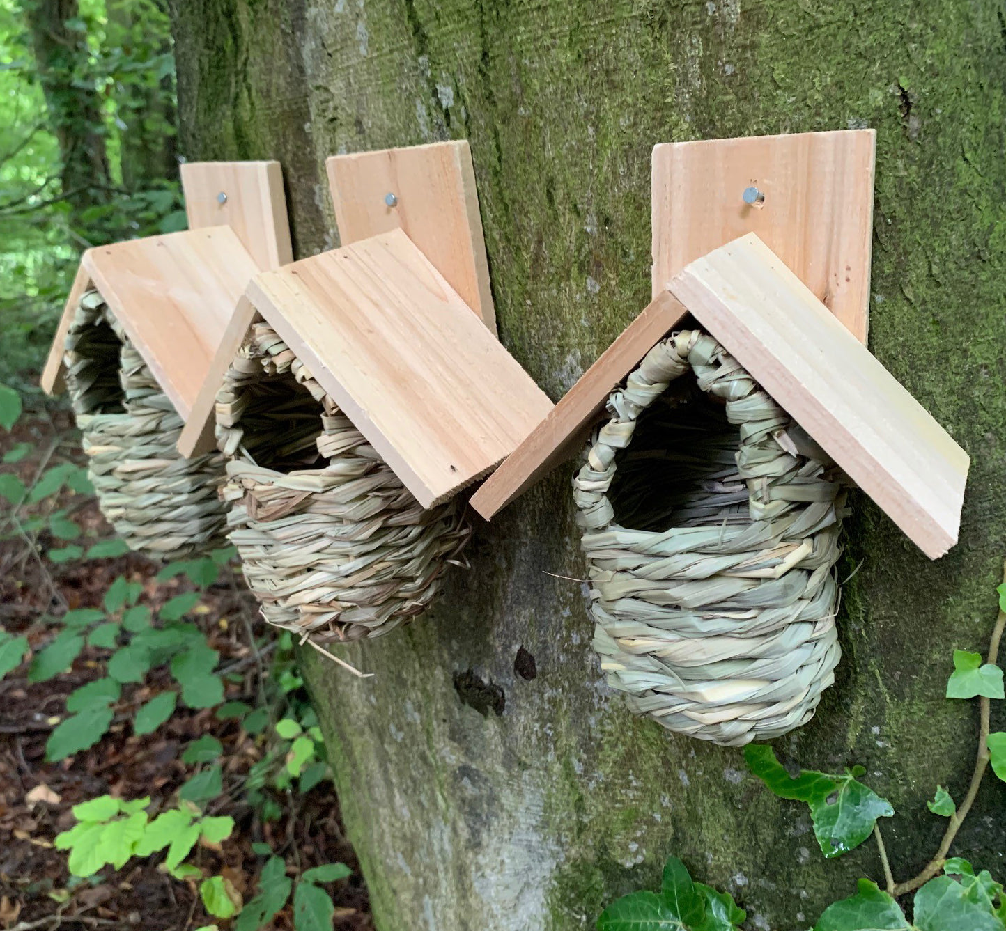 Reed Bird Nesting Pouches with Wooden Roof (Set of 3)