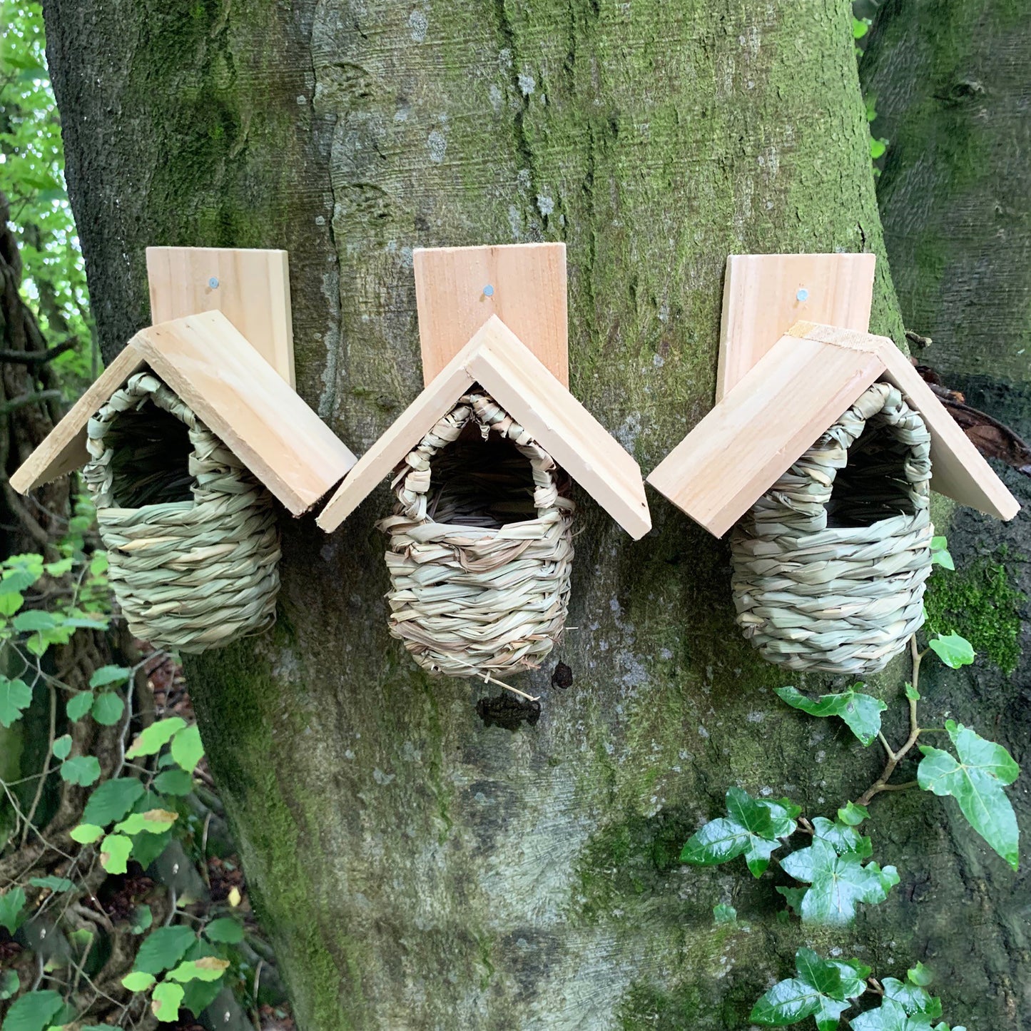 Seagrass and Reed Bird Nesting Pouches with Wooden Roof (Set of 6)