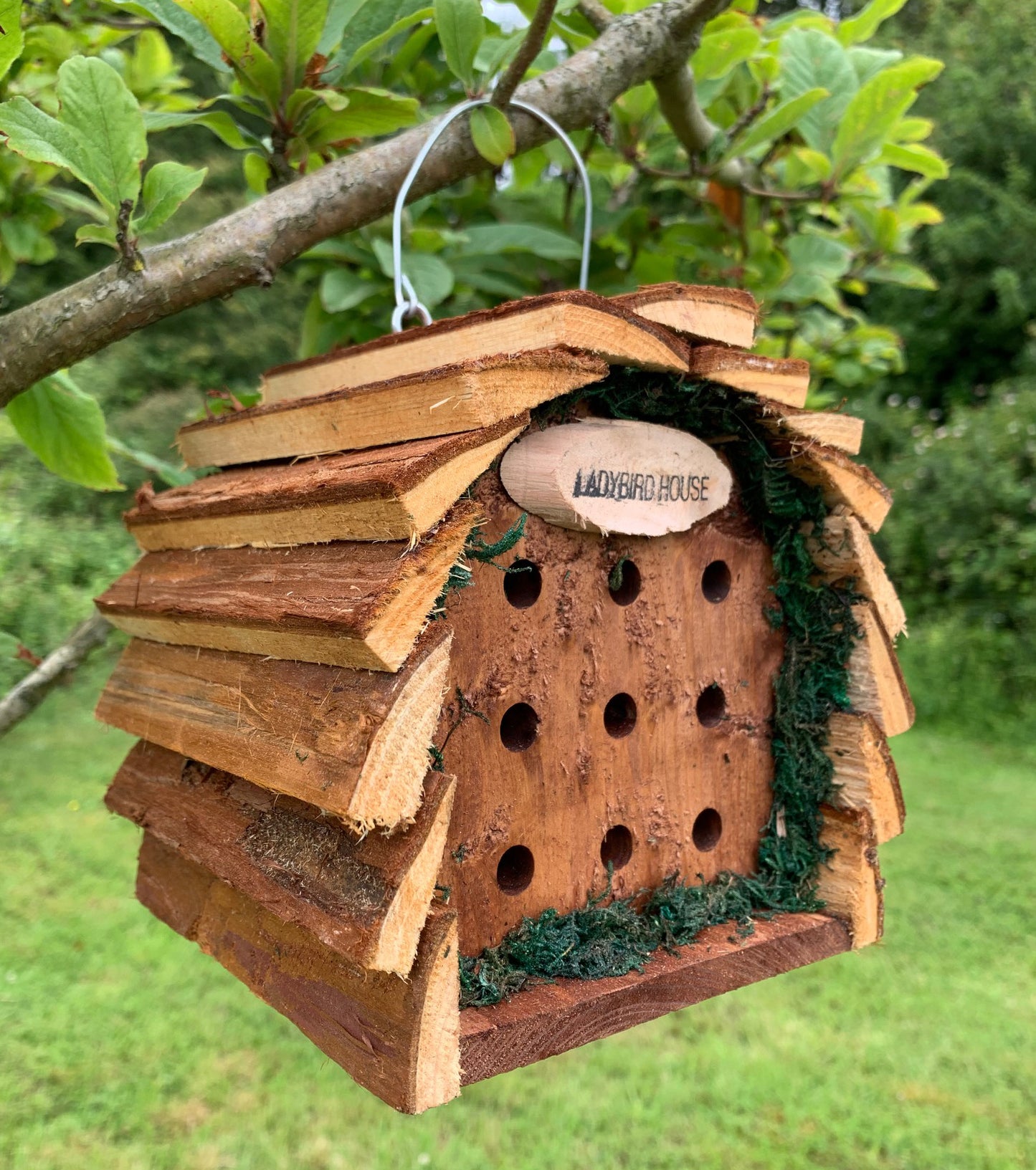 Wooden Hanging Ladybird House Garden Bug Habitat (Set of 2)